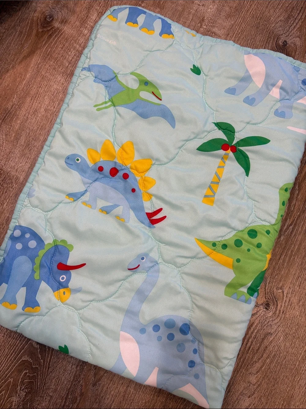 Dinosaur Print Crib Quilt and Pillow Case